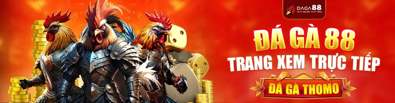 Hình ảnh hỗ trợ khách hàng S6667 với logo thương hiệu và biểu tượng giải đáp thắc mắc, màu xanh lá cây vàng